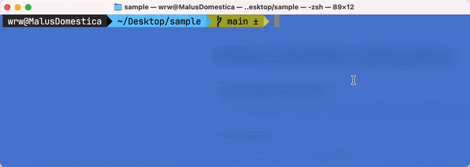 Demo terminal recording