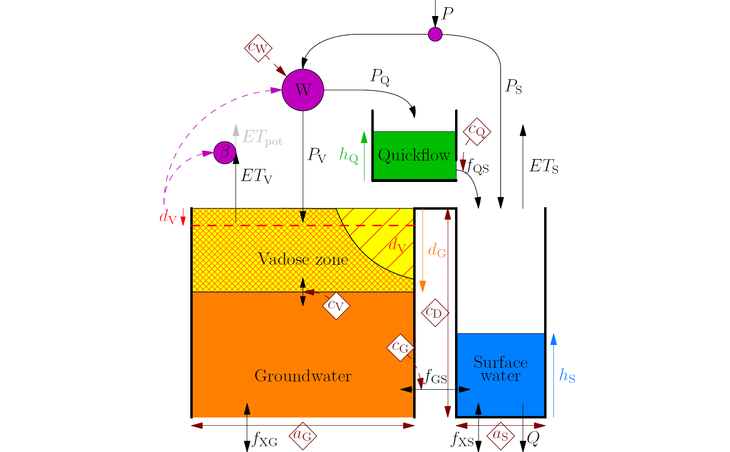 WALRUS model structure