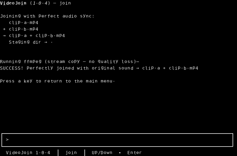 Stream-copy join of clip-a.mp4 and clip-b.mp4 succeeded