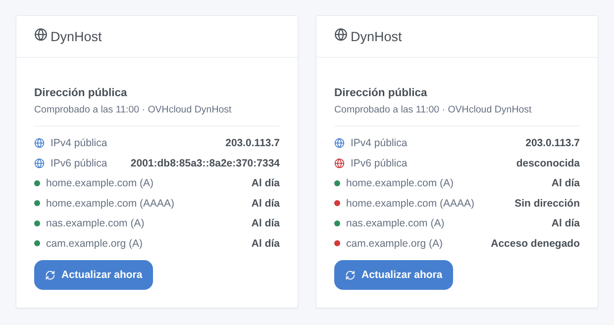 El widget DynHost, todos los registros al día, y después un identificador rechazado (ilustración generada, no una captura de pantalla)