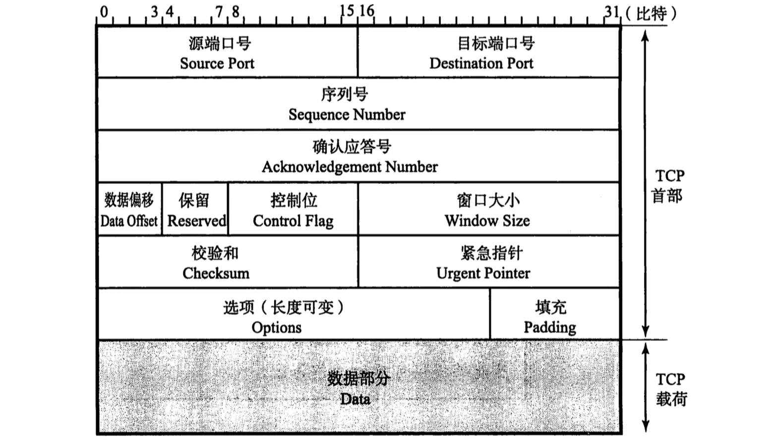 TCP报文格式