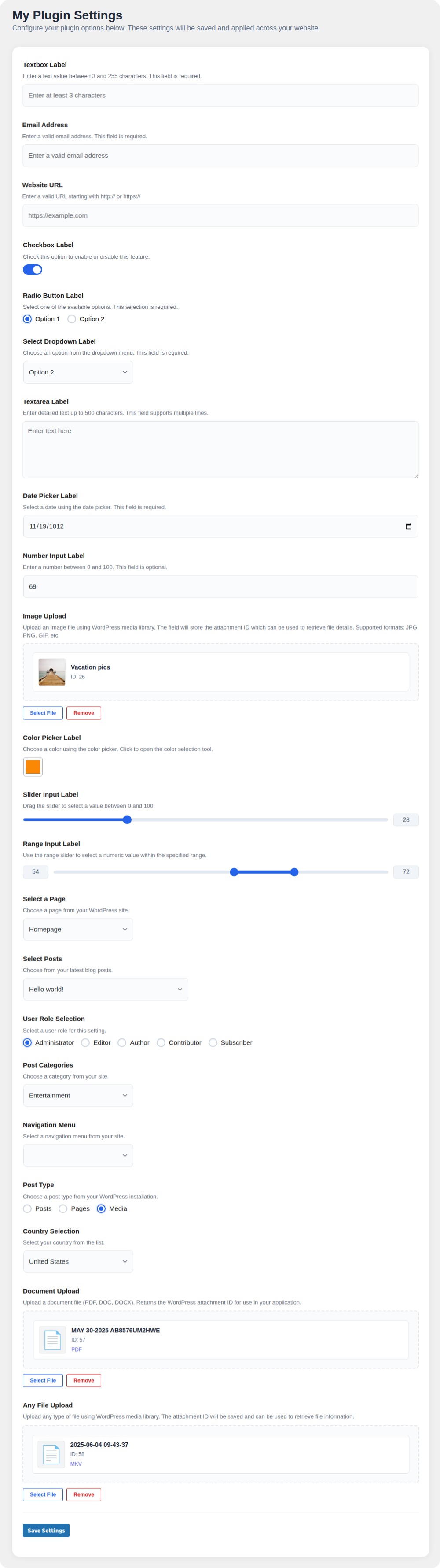 Wirefront Settings Framework Screenshot