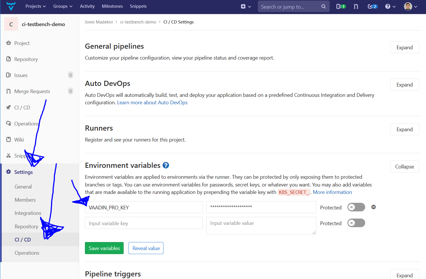 Where to specify the env variable in GitLab