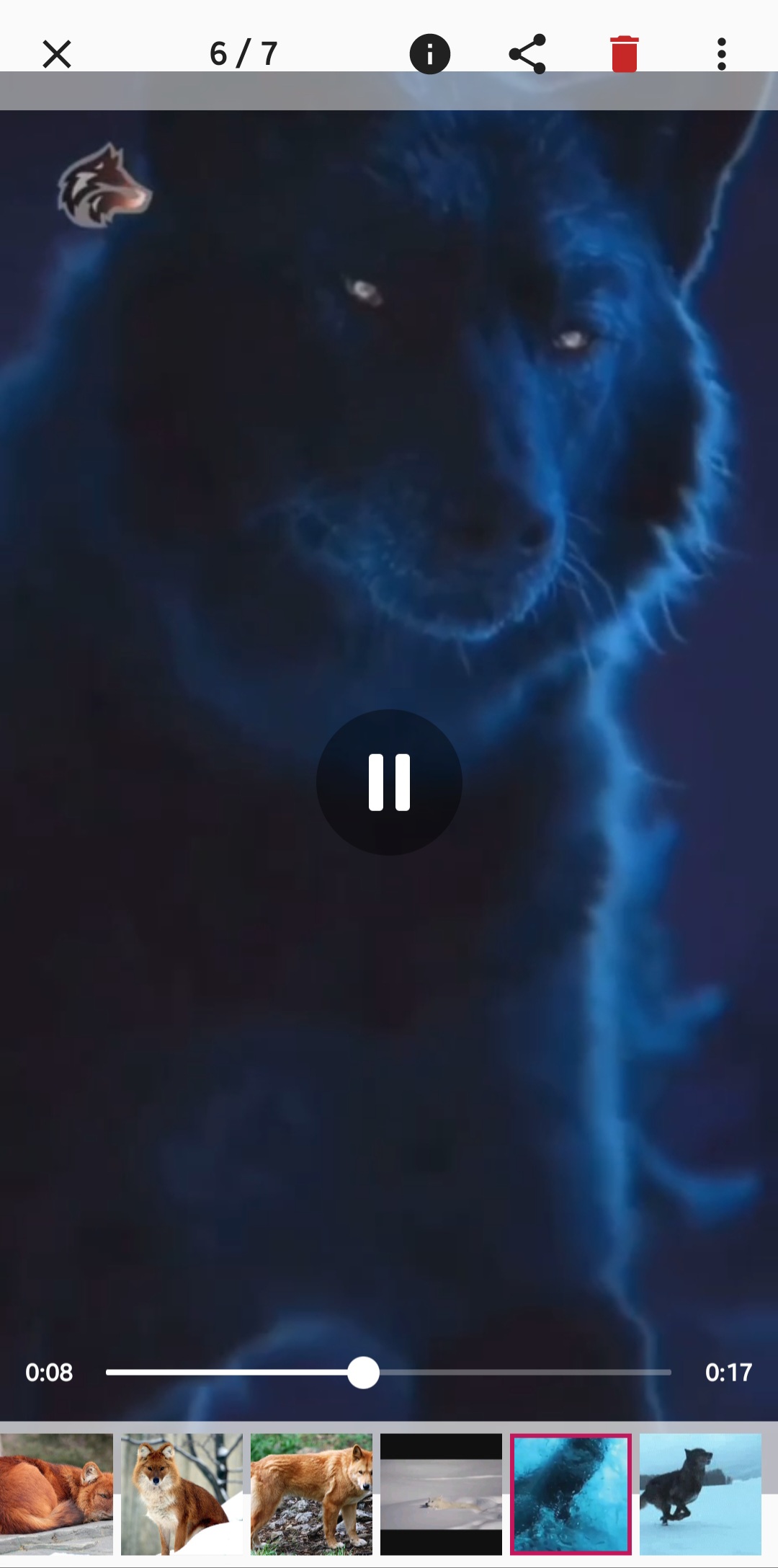 Screenshot 6 of Wolf Gallery — opens full size