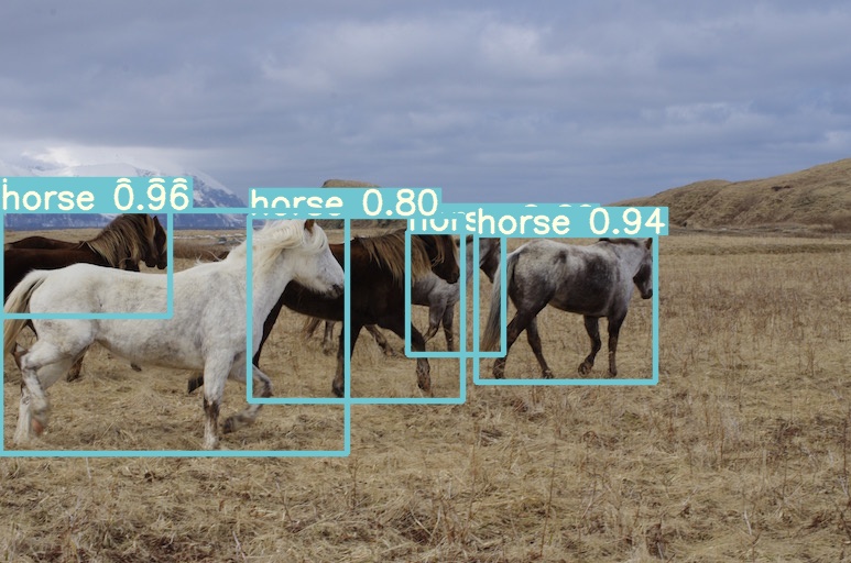 horses_prediction.jpg