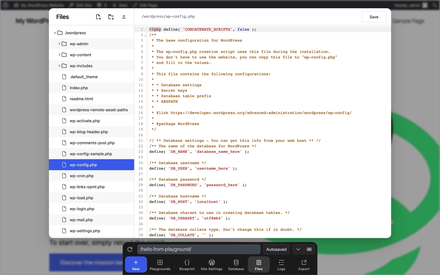 The Files pane showing a selected WordPress file and its contents