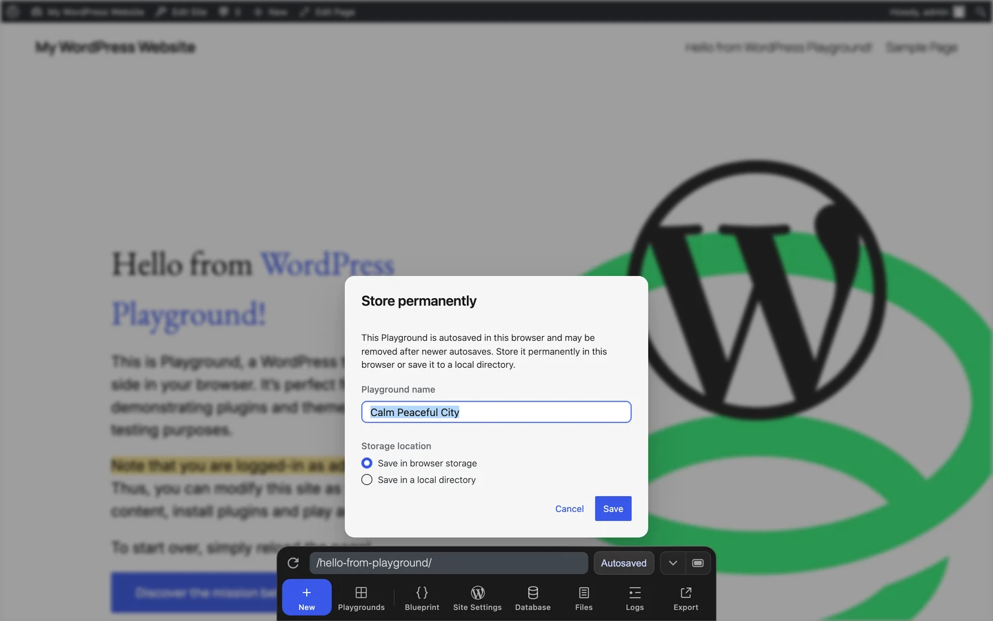 The Store permanently pane with browser storage selected
