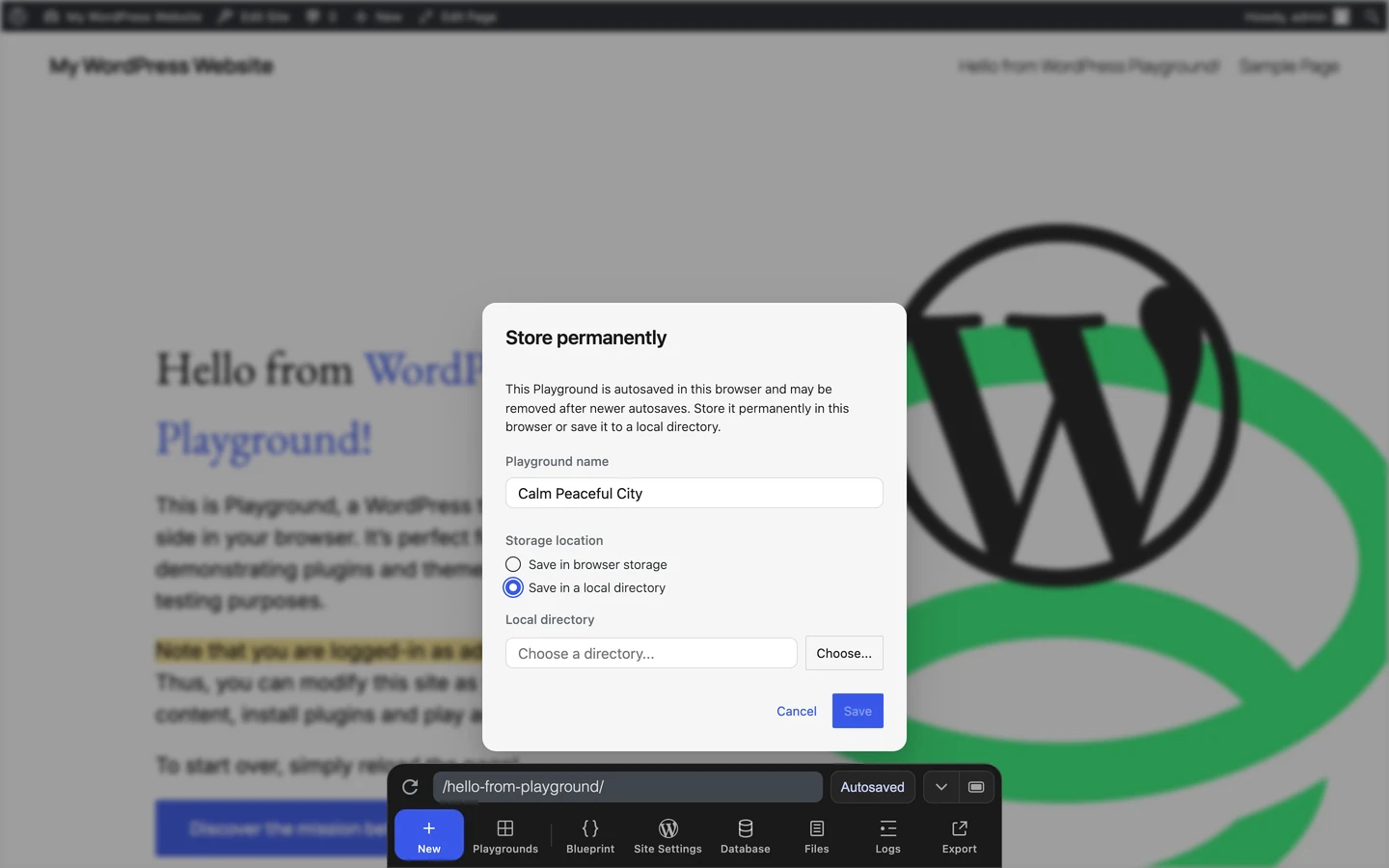 The Store permanently pane with local-directory storage selected