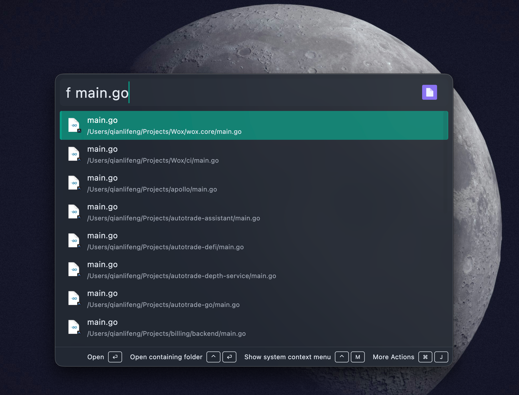 Wox searching local files named main.go and showing matching paths