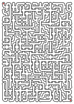 Maze