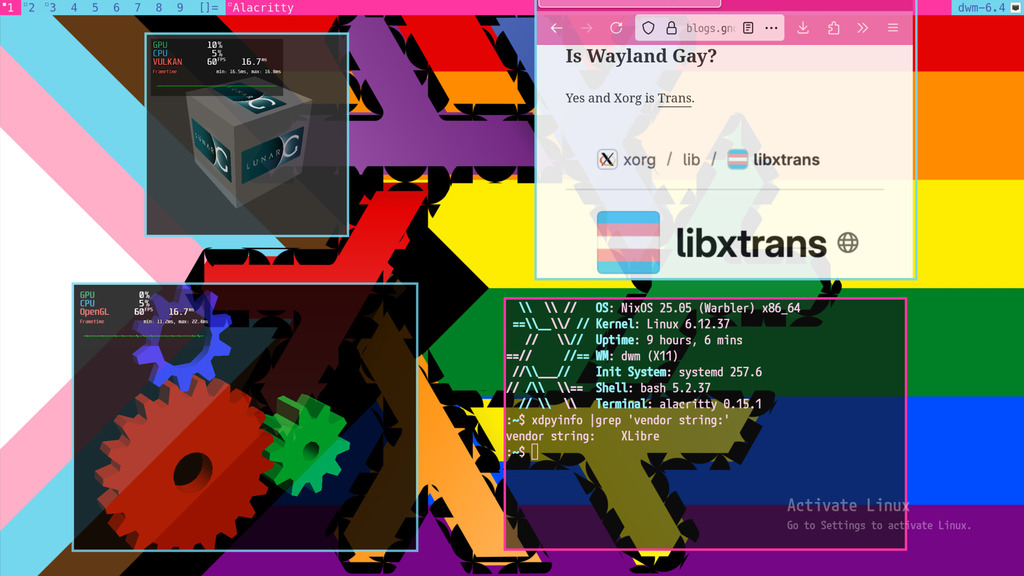 XLibre running on NixOS