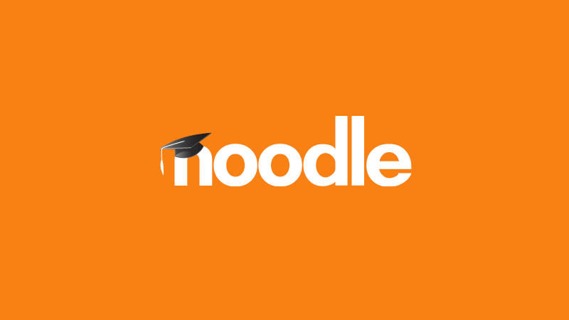 Noodle Logo