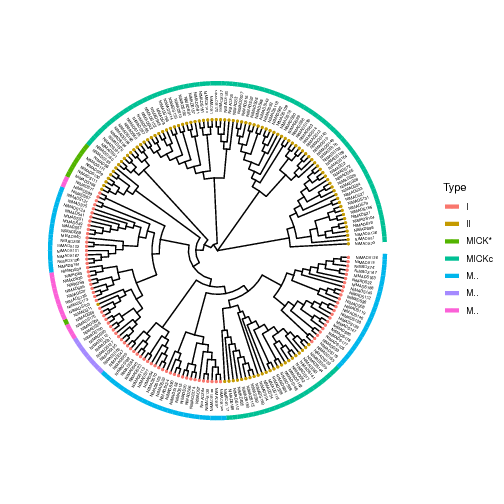 Tree plot