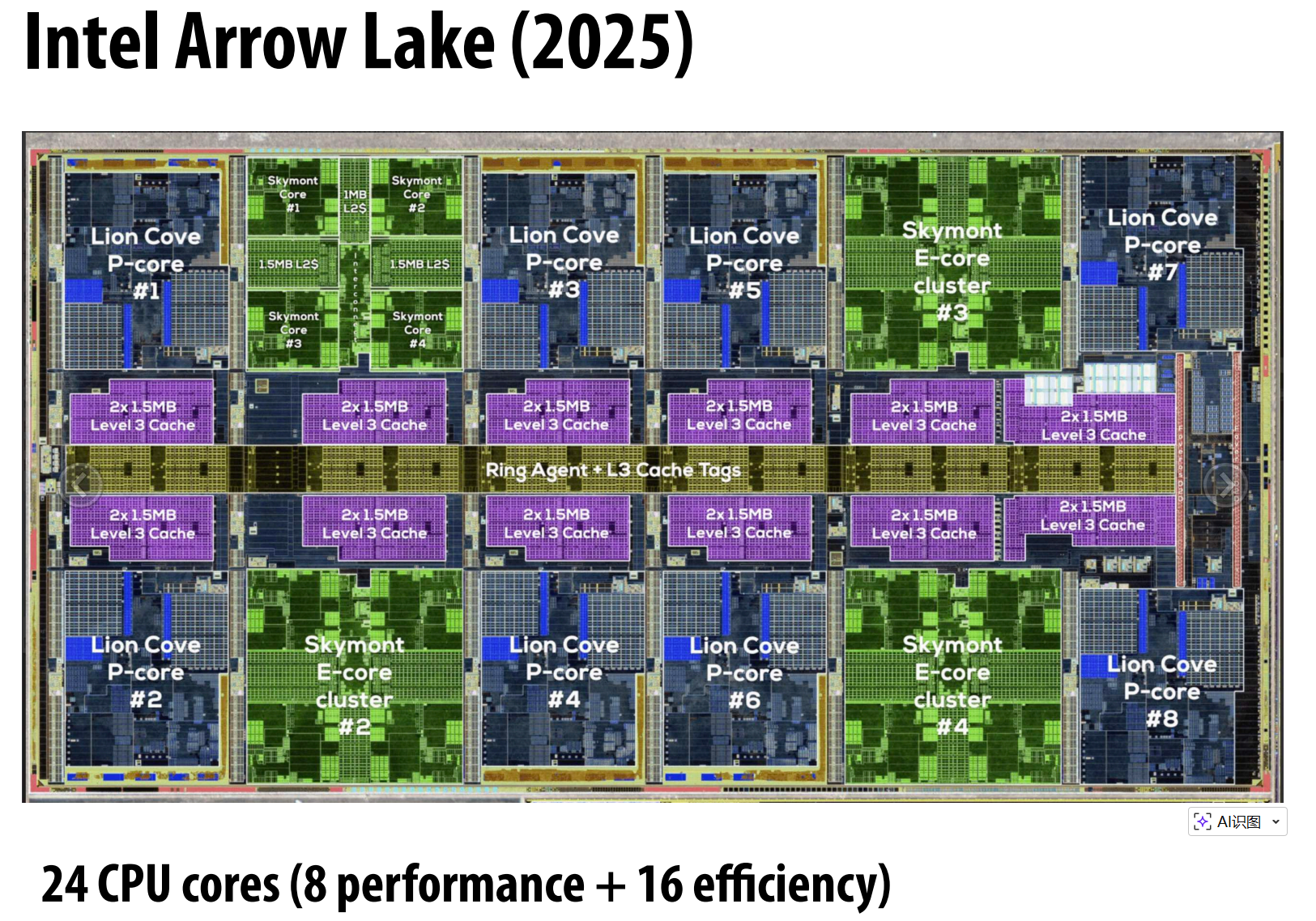 image-20260115124003572