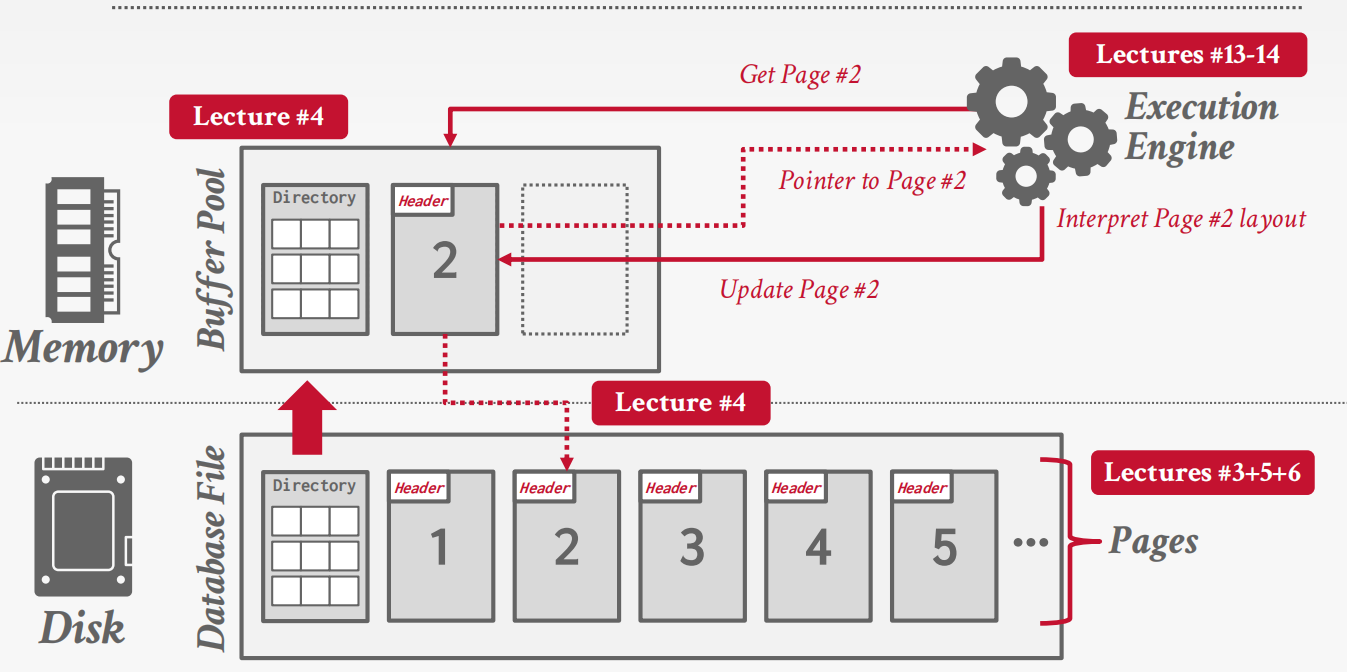 image-20260201113835345