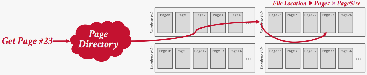 image-20260201130006343