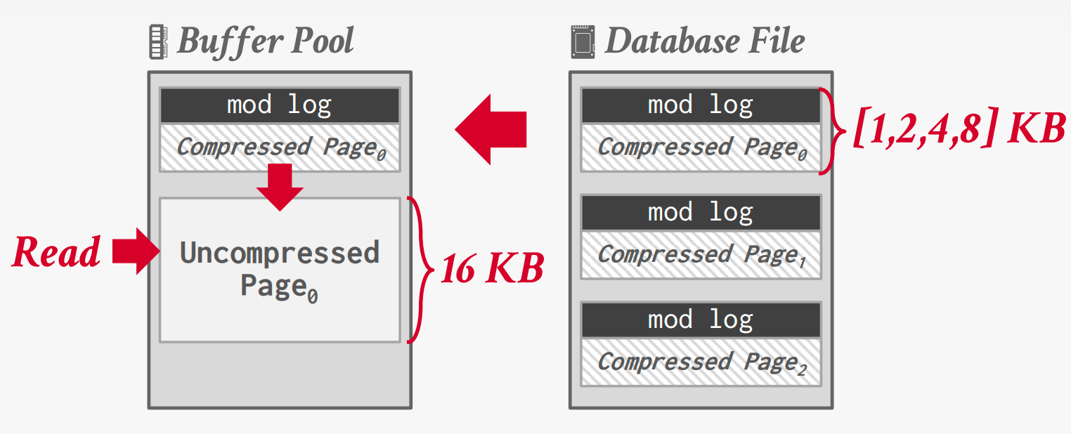 image-20260202144852164