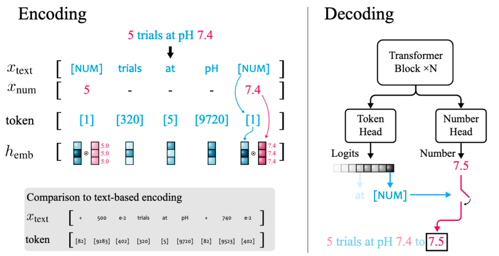 image-20260212205430637