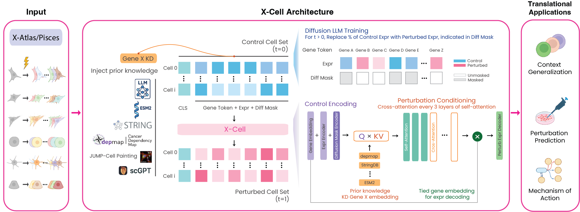 X-Cell Architecture