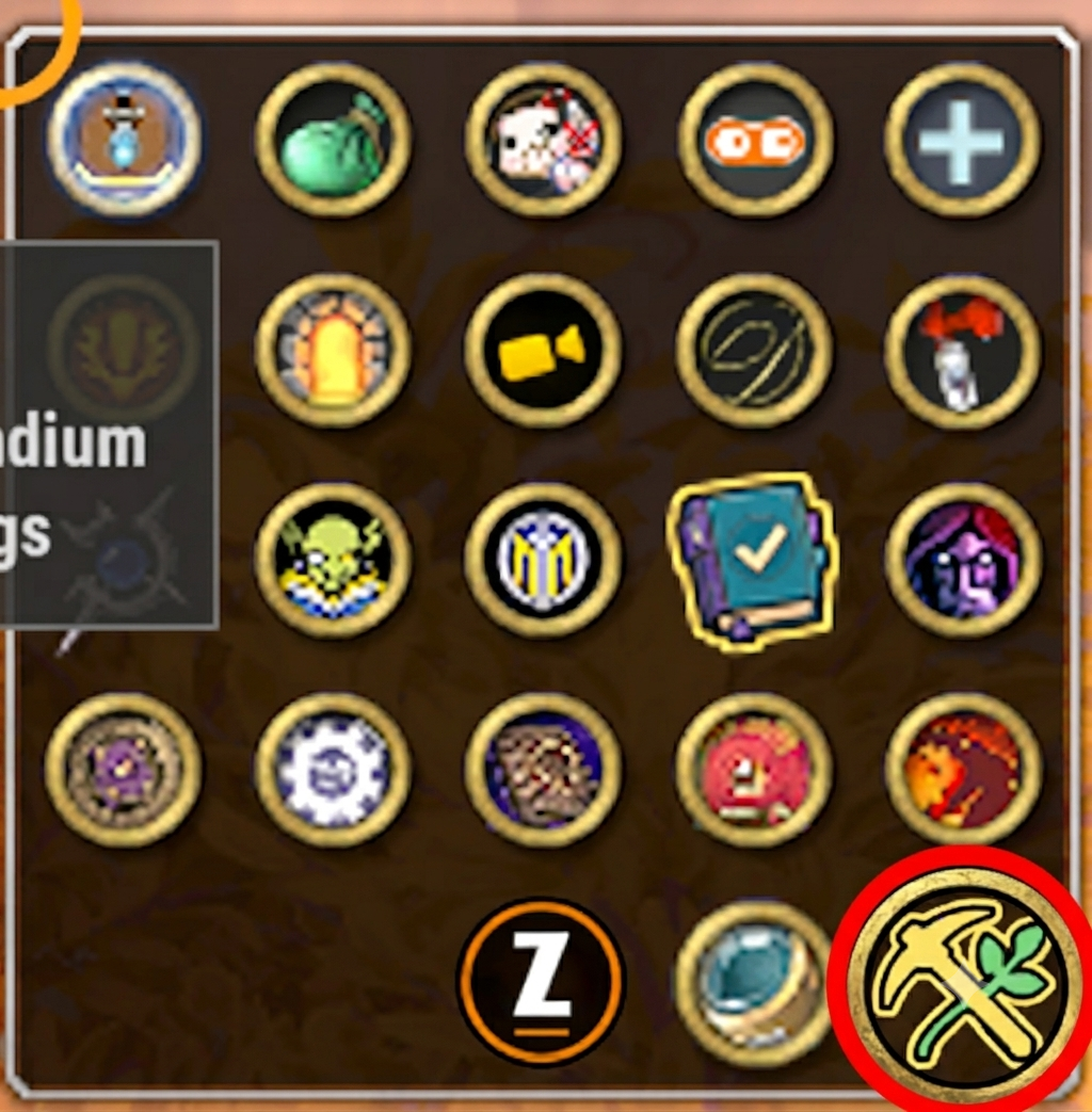 Minimap icon