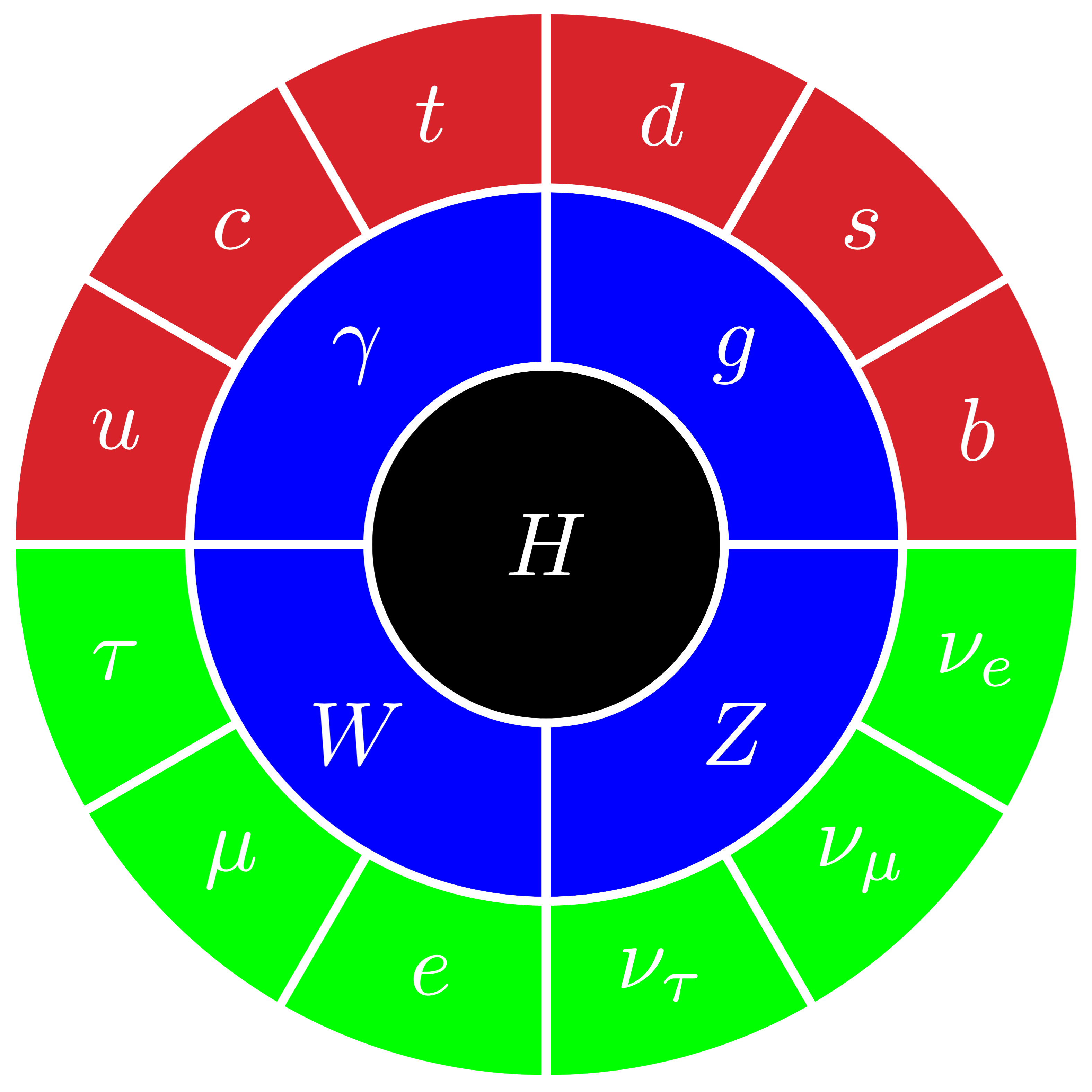 standard model graphic