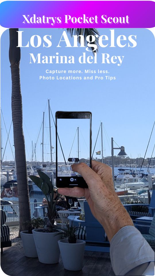 Pocket Scout Los Angeles Marina