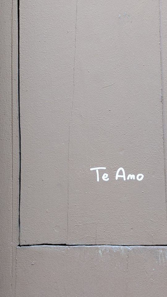 Te Amo