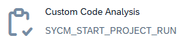 Custom Code Analysis