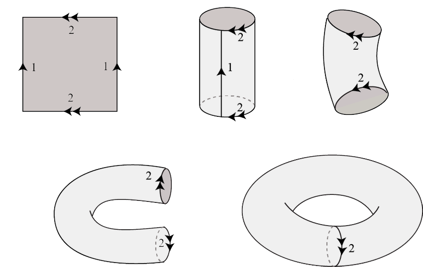 Topological torus construction from a square