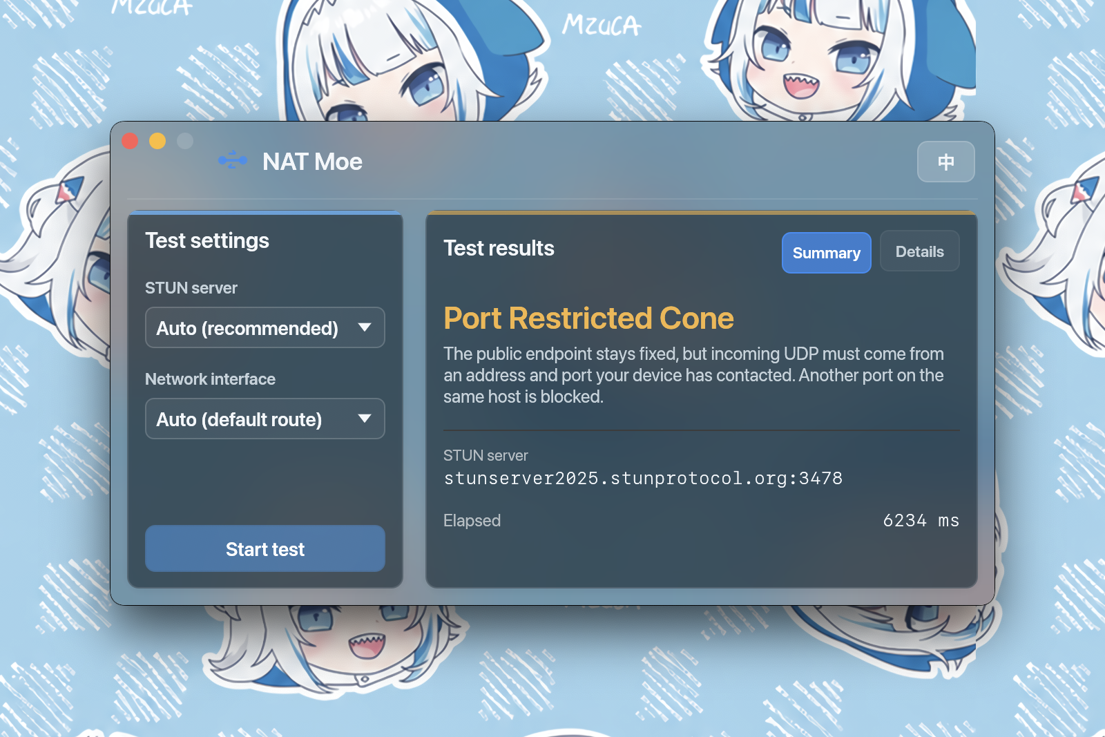 NAT Moe showing an IPv4 UDP NAT test result in English on macOS