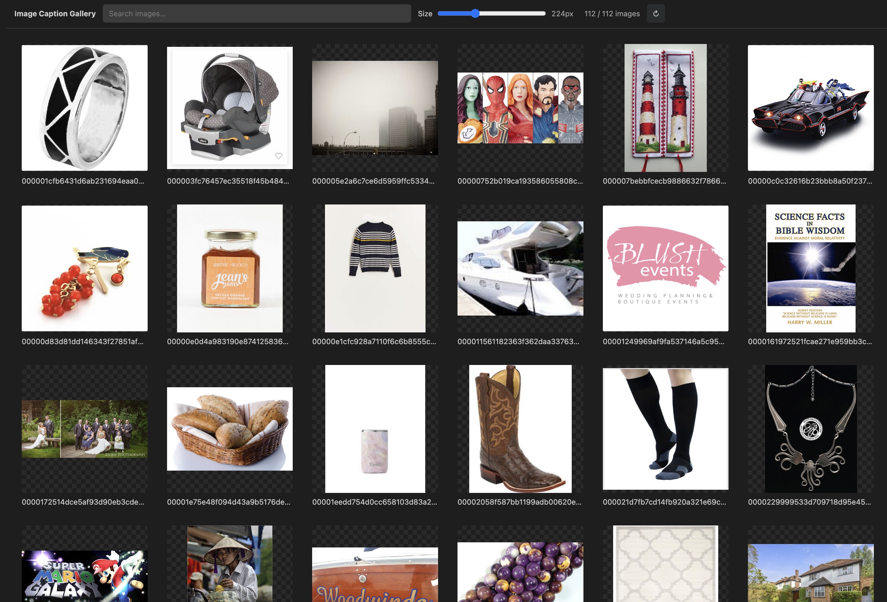 Image Caption Gallery showing an adjustable image dataset gallery