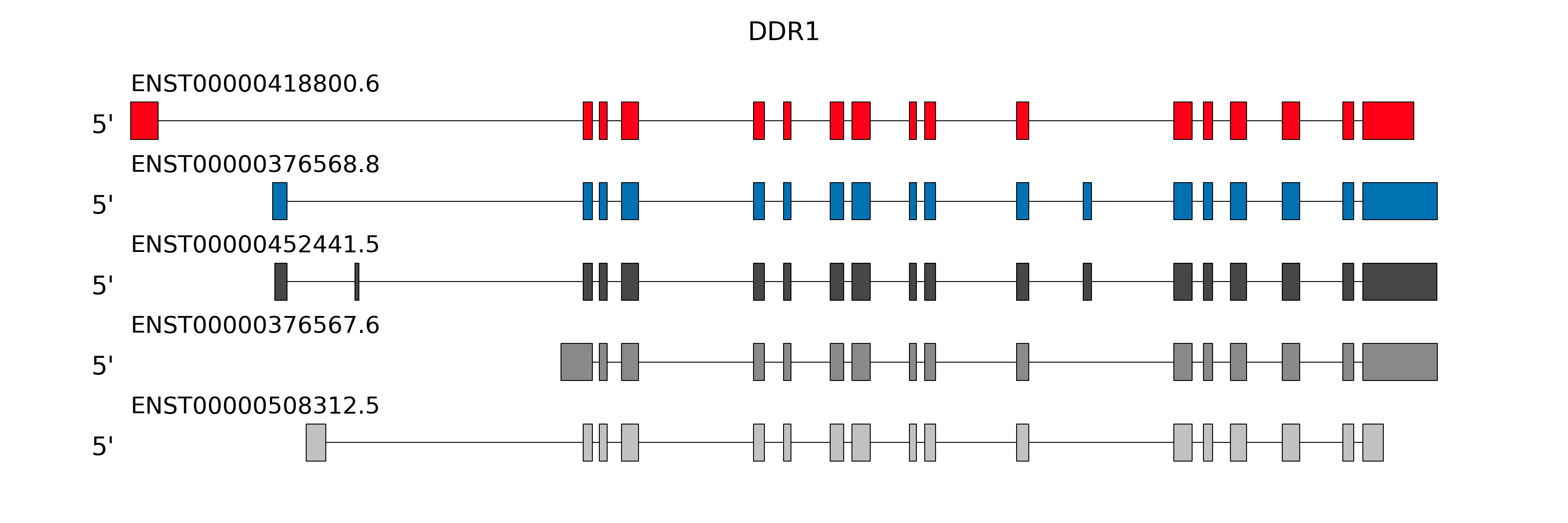 DDR1 structure