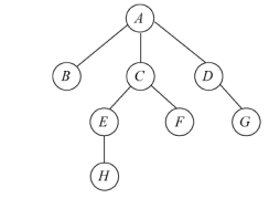 image-20240925224029517