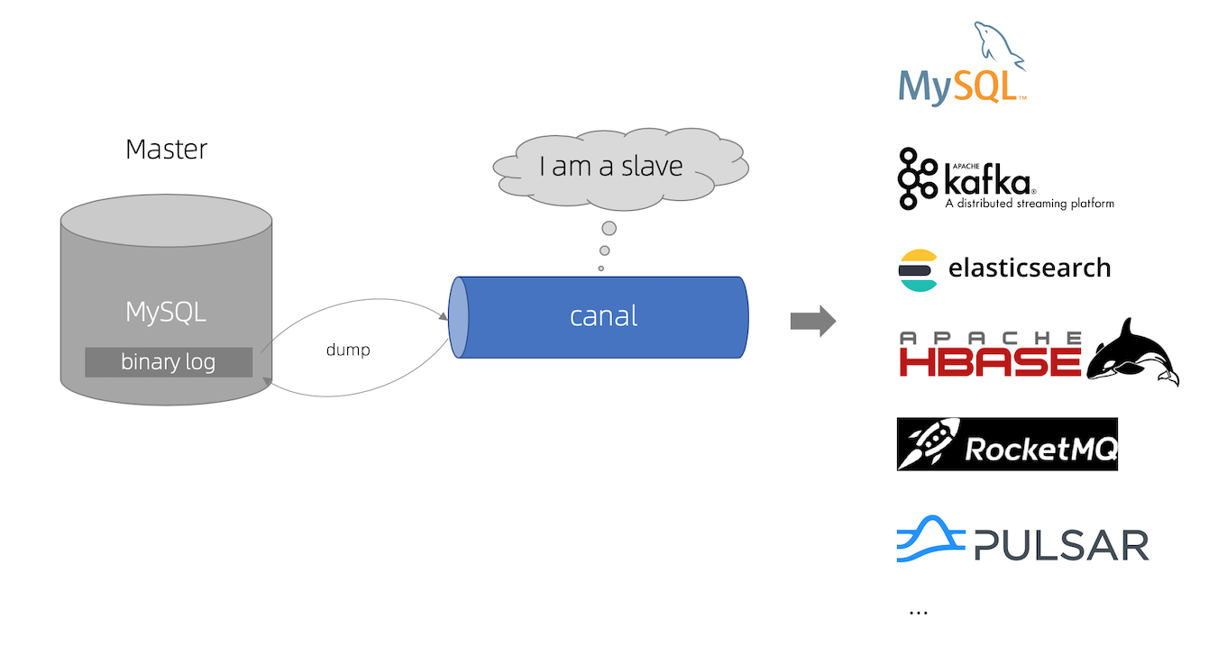 image-20241010103125364