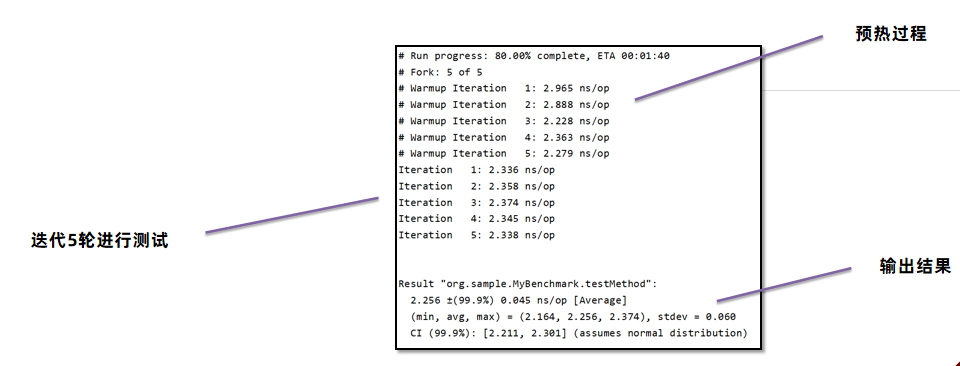 image-20241113104905816
