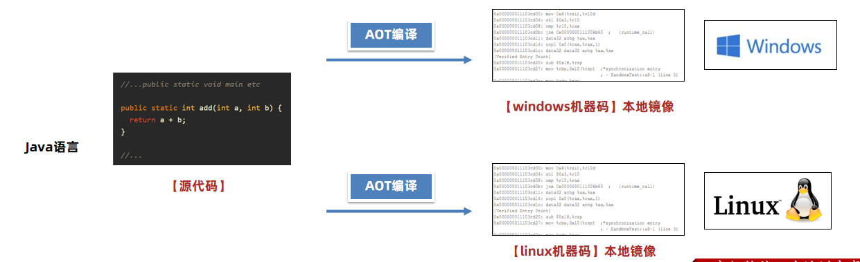 image-20241113110654280