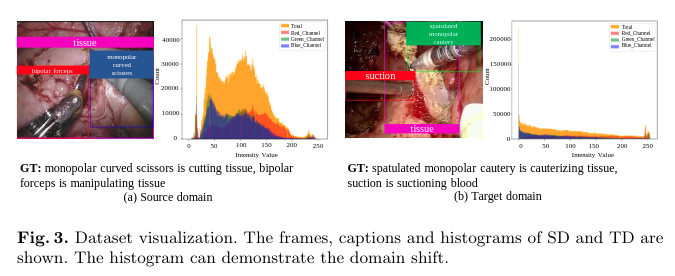 domain_shift