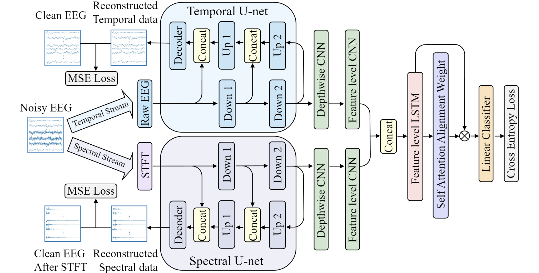 TS-STDN model