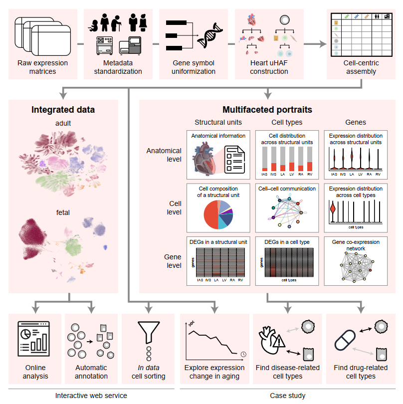 Overview of uniHEART