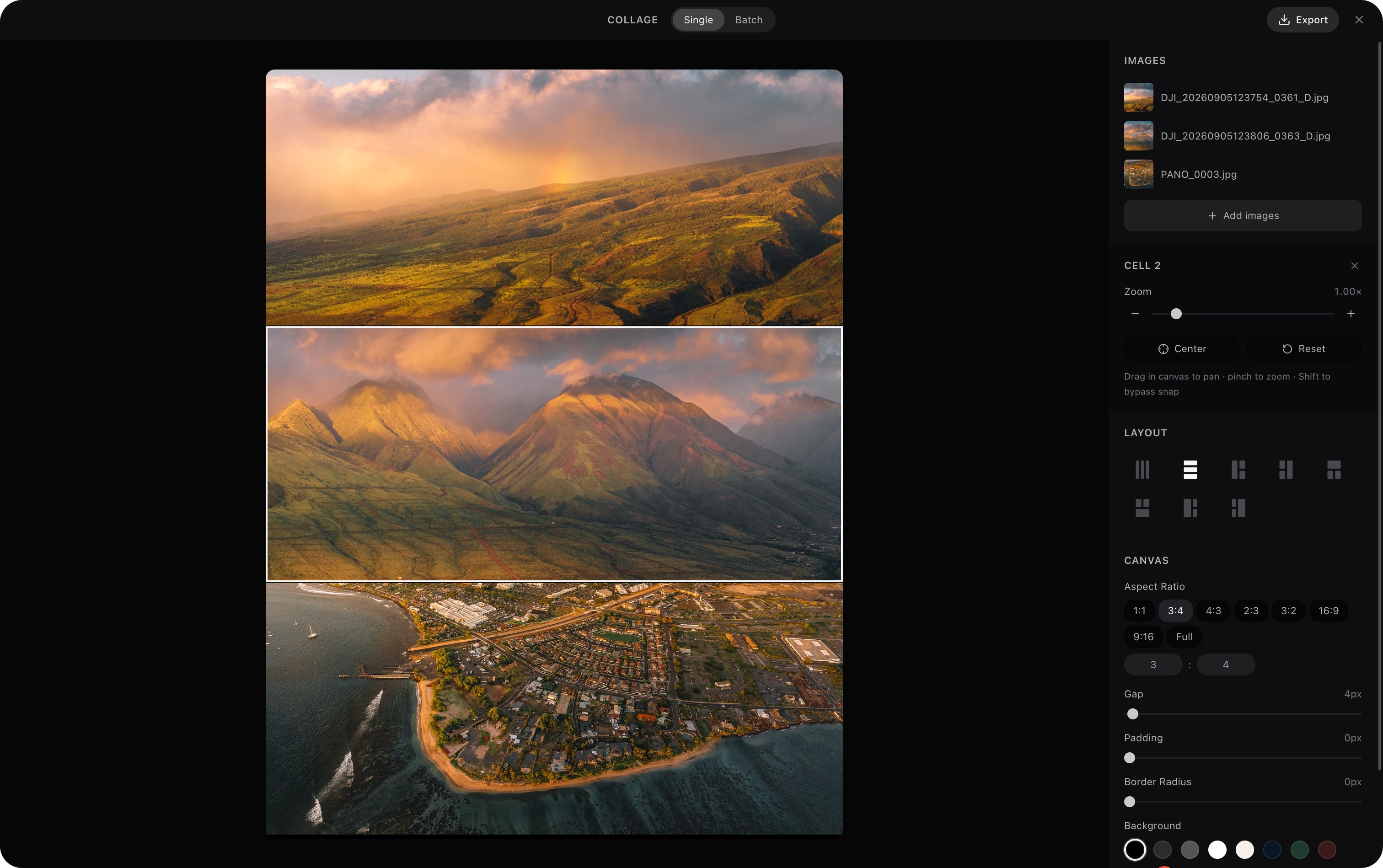Single collage editor