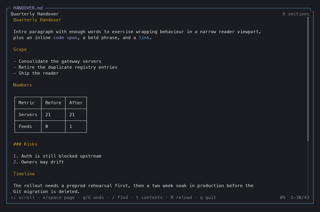 The reader showing a Markdown plan