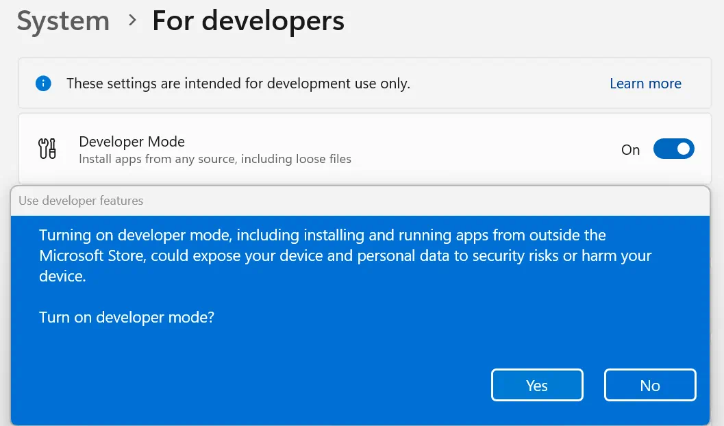 Developer Mode
