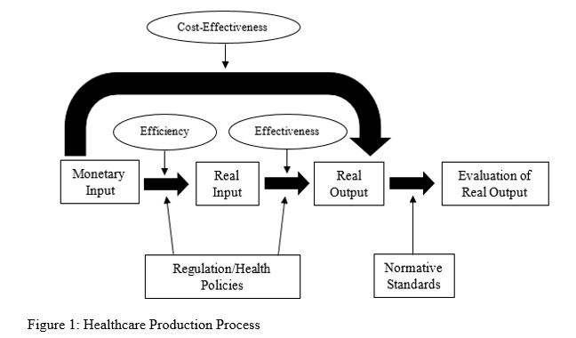 A. Healthcare Production Process