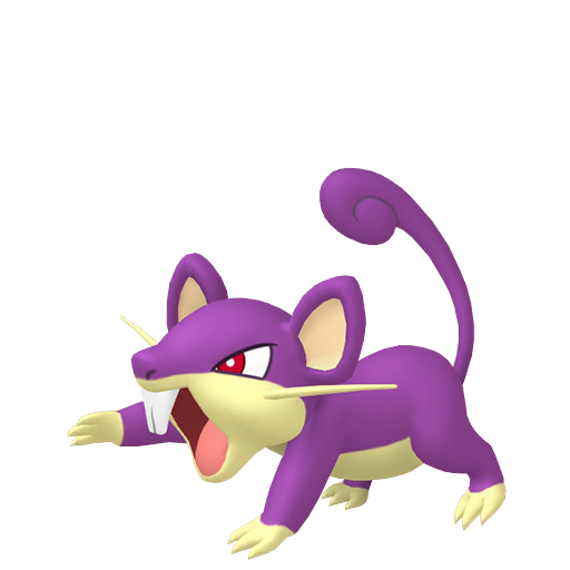 Rattata