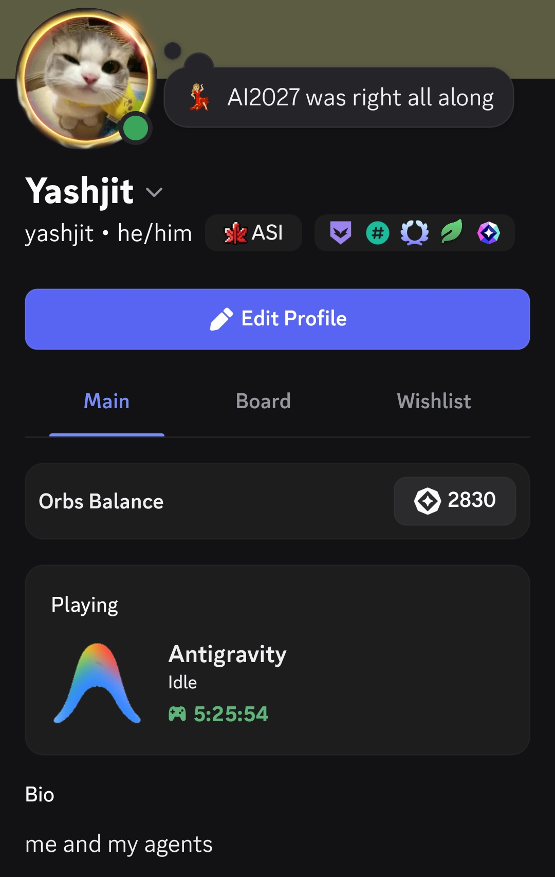 Discord Rich Presence Profile