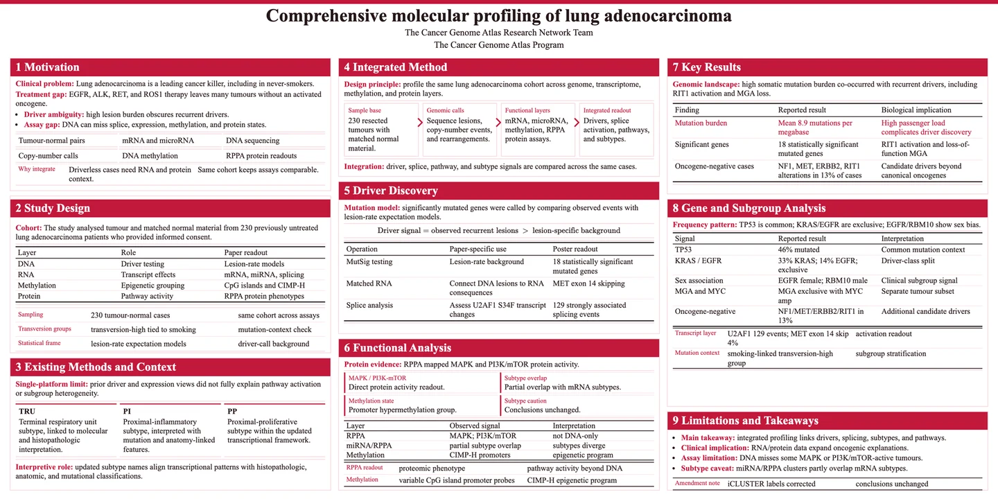 Lung adenocarcinoma poster generated through the Codex GPT-5.5 xhigh authoring route
