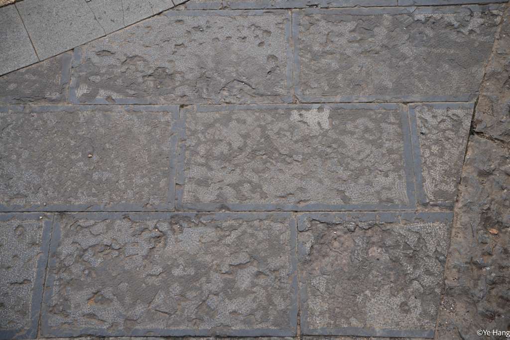 Texture Reference
