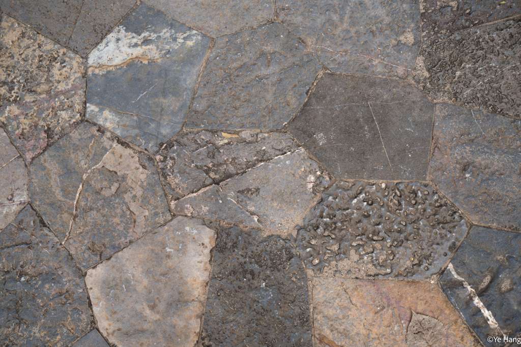 Texture Reference