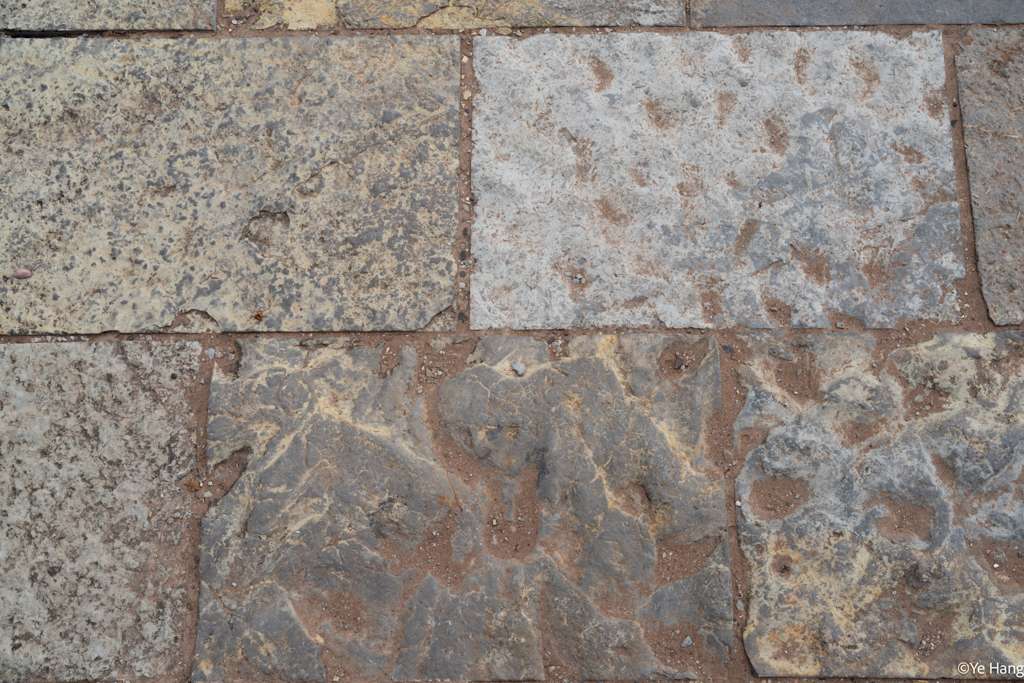 Texture Reference