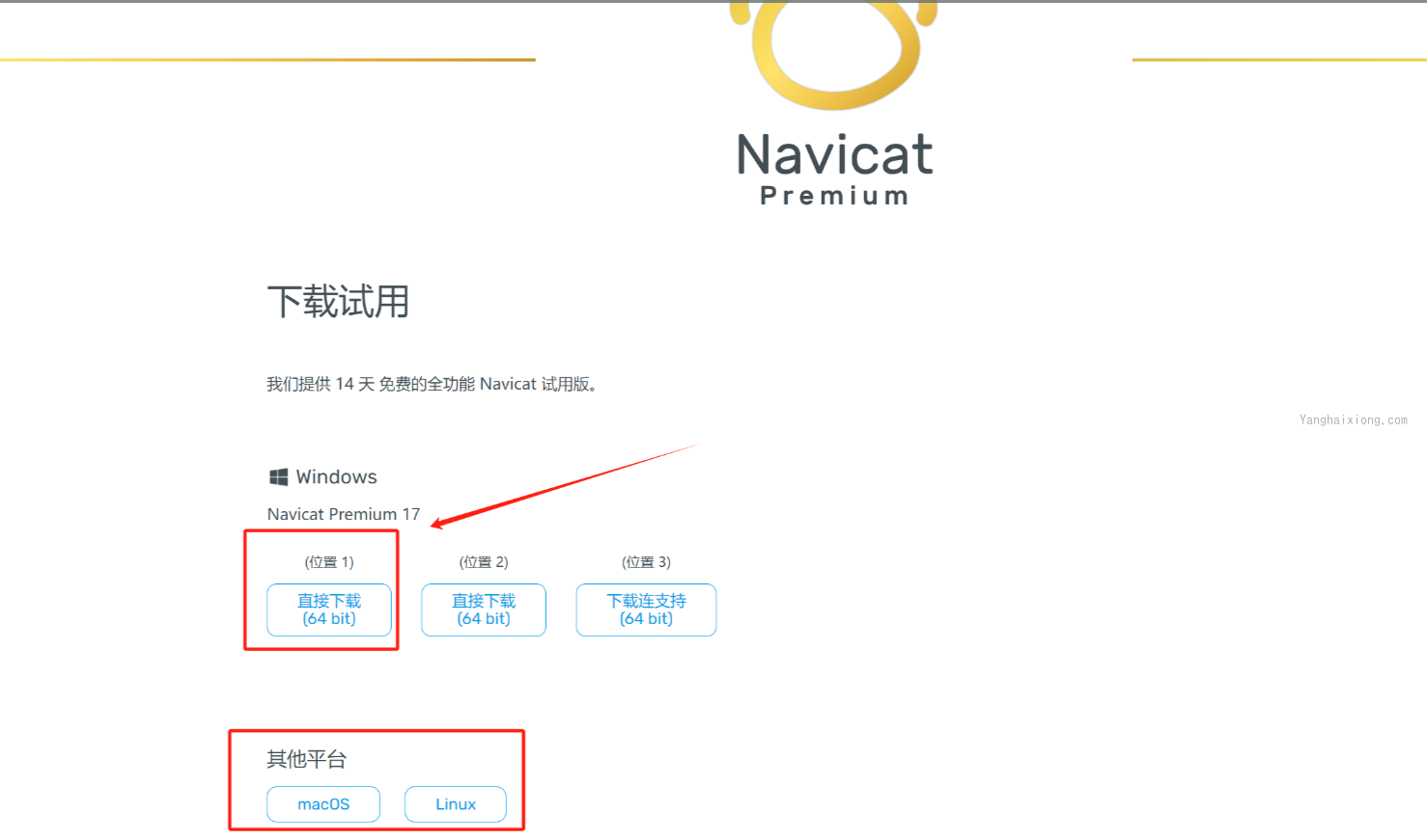 Navicat Premium 17.0.8 简体中文版破解激活永久图文详细教程（亲测可用）